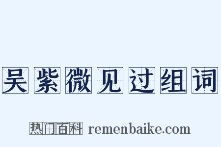 吴紫微见过组词是什么意思的图片